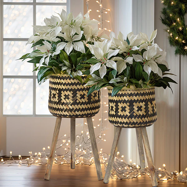 Woven Tall Plant Stands, Set of 2