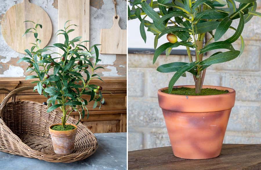 Handcrafted Potted Olive Topiary