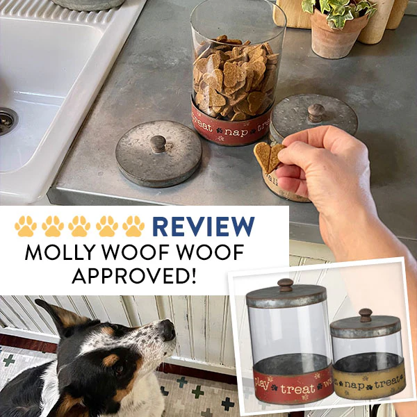 Pawsitive Pet Treat Canisters, Set of 2