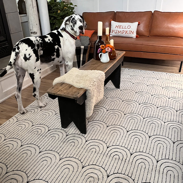 Sandstone Area Rug