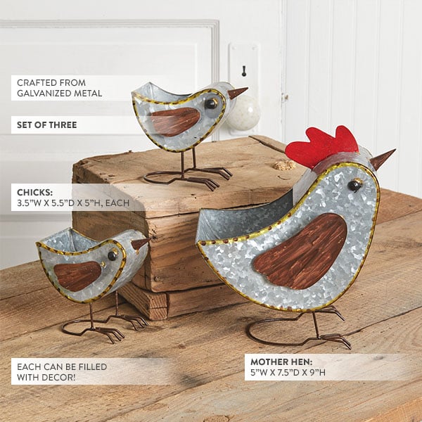 Mother Hen and Chicks Galvanized Caddies, Set of 3