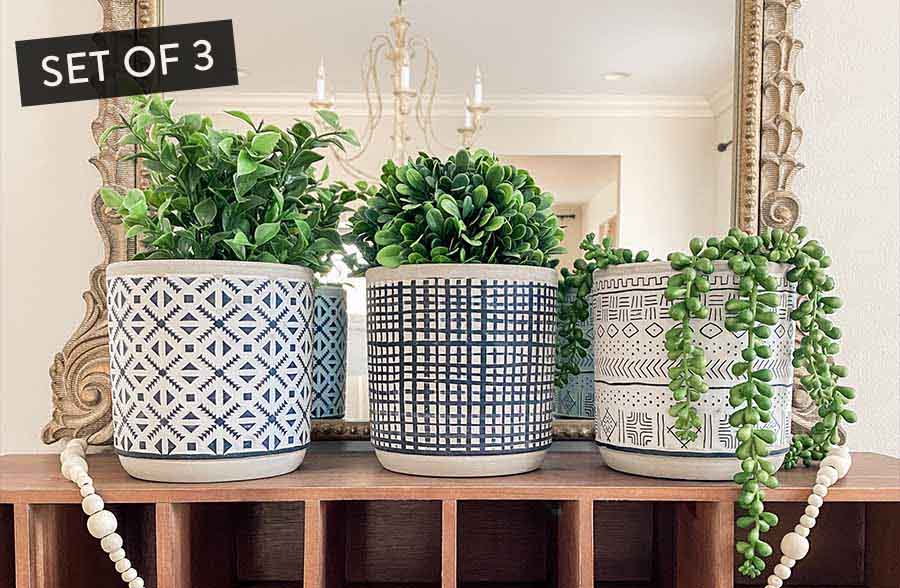 Textured Design Cement Planter Pots, Set of 3