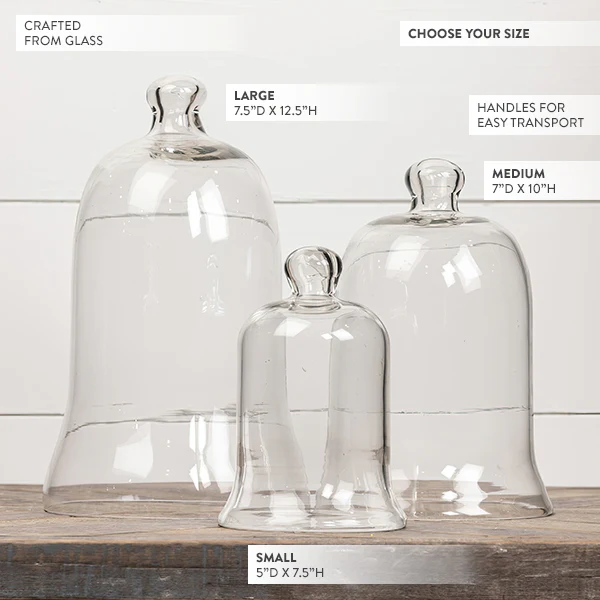 Bell Shaped Glass Cloche, Choose Your Size