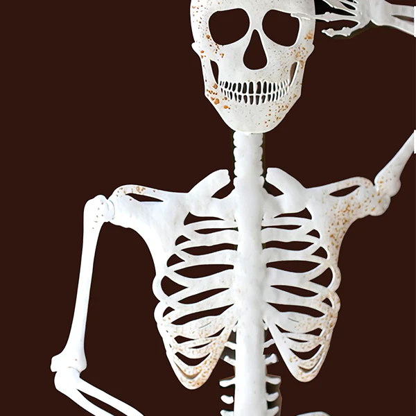24 Inch Mr Skeleton Statue
