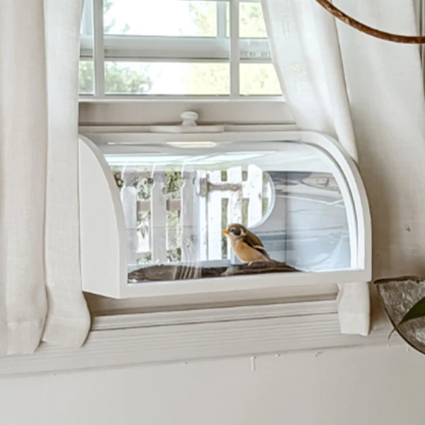 Outdoor Proof Breadbox In Window Bird Feeder