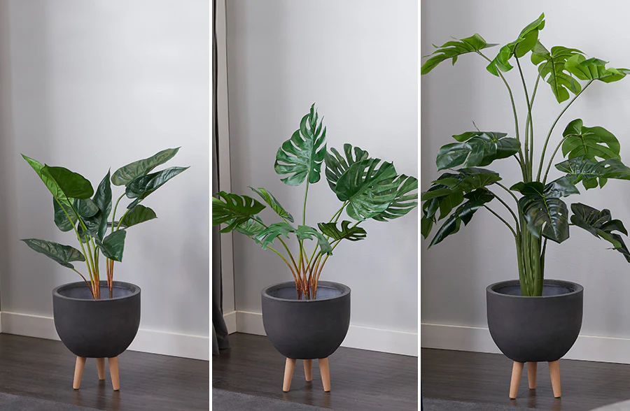 Naturalistic Potted Plant, Pick Your Style