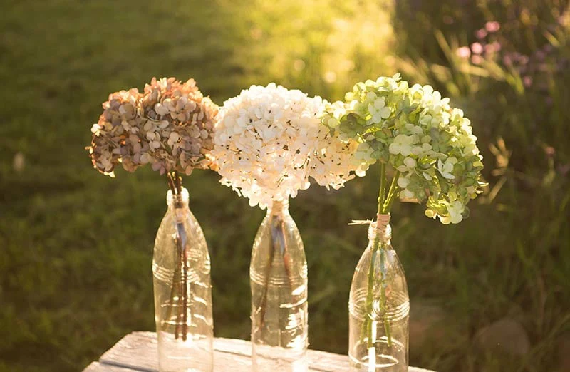 Lush Hydrangea Bundle  Set of 2